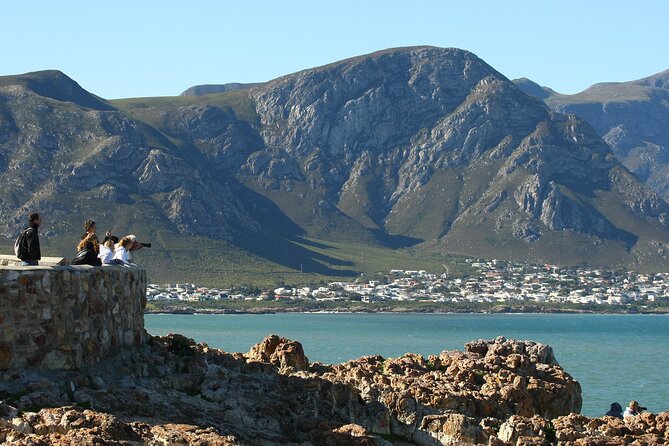Hermanus Land Based Whale Walking Tour With Dave De Beer - Inclusions