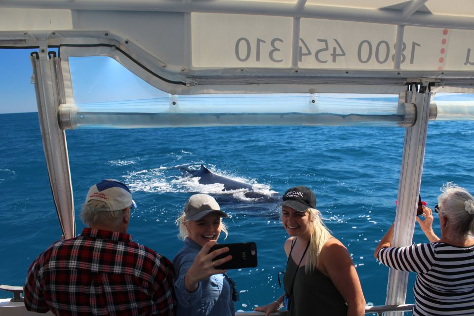 Hervey Bay: Ultimate Whale Watching Experience - Tour Details and Inclusions