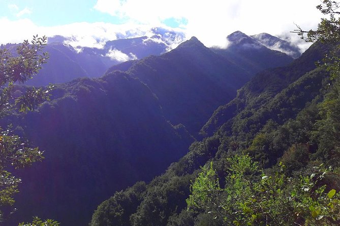 Hidden Corners: Levada Walk From Funchal - Inclusions and Logistics