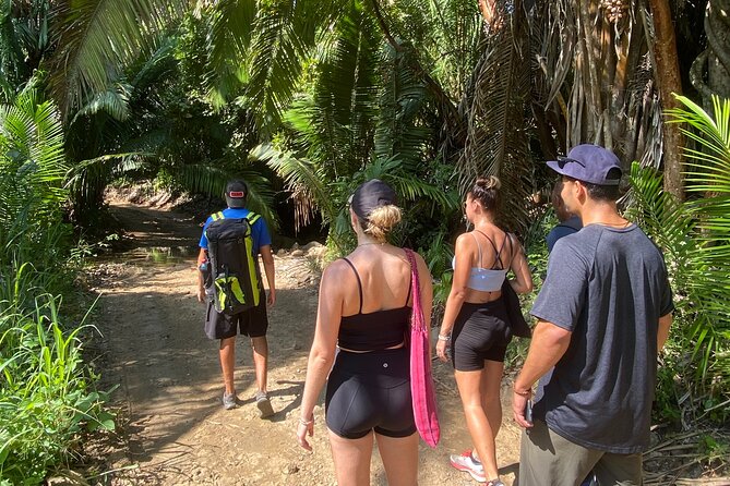 Hike and Yoga Jungle Experience in Mexico - Logistics Information