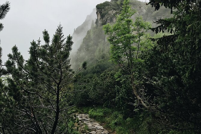 Hiking Adventure in the Tatra Mountains and Thermal Baths - Thermal Baths: Relaxation Amidst Nature