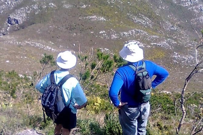 Hiking and Trekking on Table Mountain - Essential Gear and Clothing