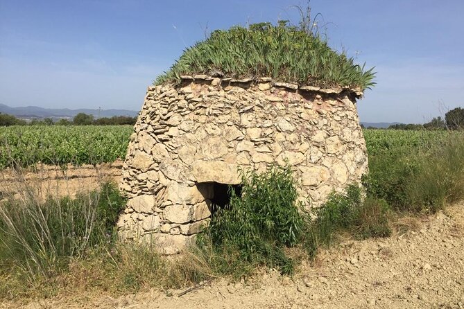 Hiking and Wild Tapas, Discovering the Secret of Plants - Understanding the Secrets of Plant Life