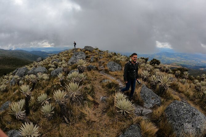 Hiking Chingaza Páramo, Siecha Lagoons - Flora and Fauna Encounters