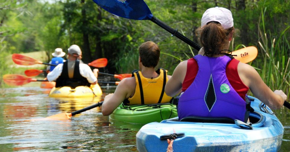 Hilton Head: Guided Kayak Tour - Experience Highlights