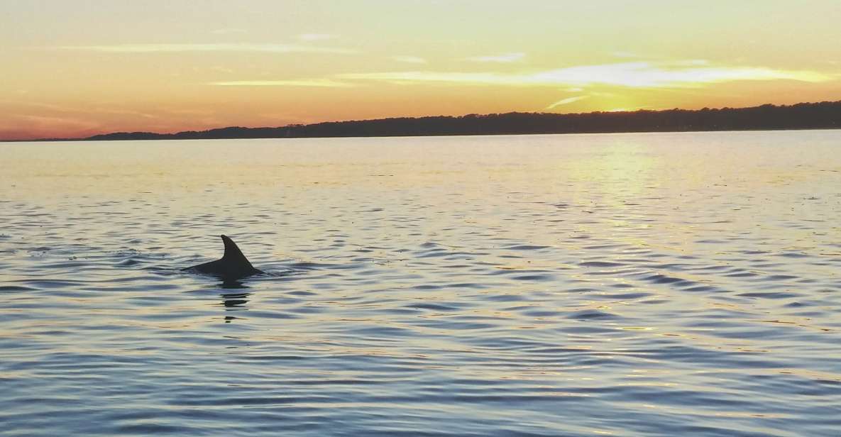 Hilton Head Island: Dolphin Watching 3-Course Dinner Cruise - Experience Highlights