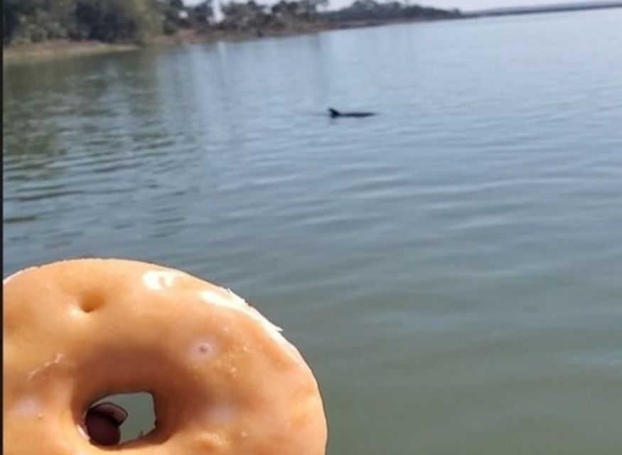 Hilton Head Island: Dolphin Watching Cruise With Donuts - Dolphin Sighting Experience Details