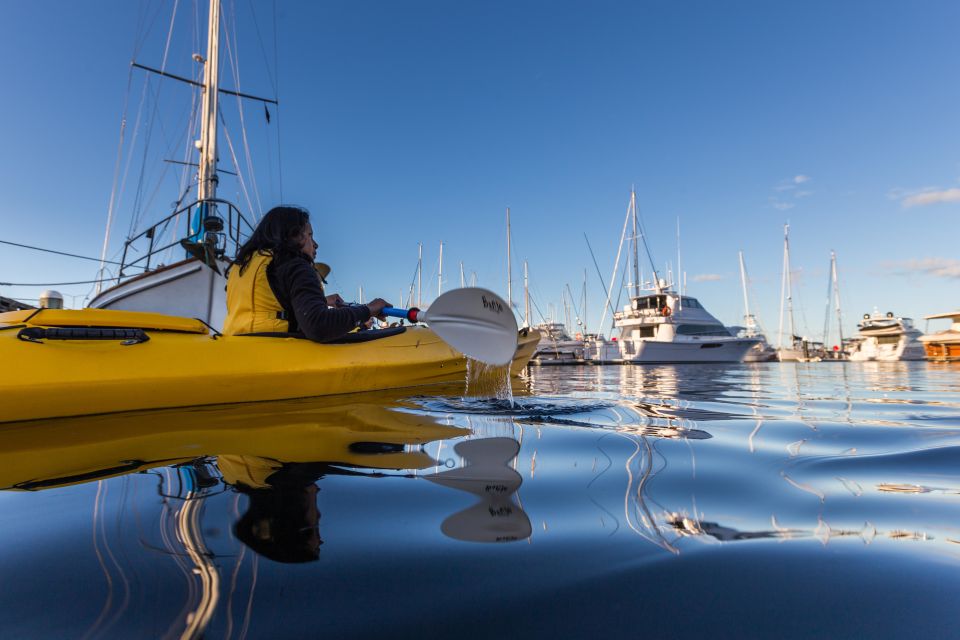 Hobart City 2.5-Hour Kayak Tour - Restrictions