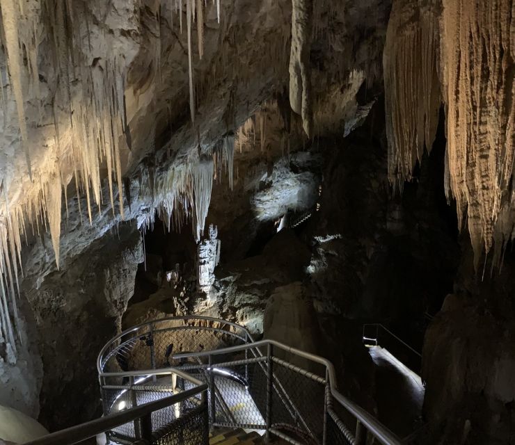 Hobart: Hastings Caves, Tahune Airwalk, and Huon Valley Tour - Customer Reviews