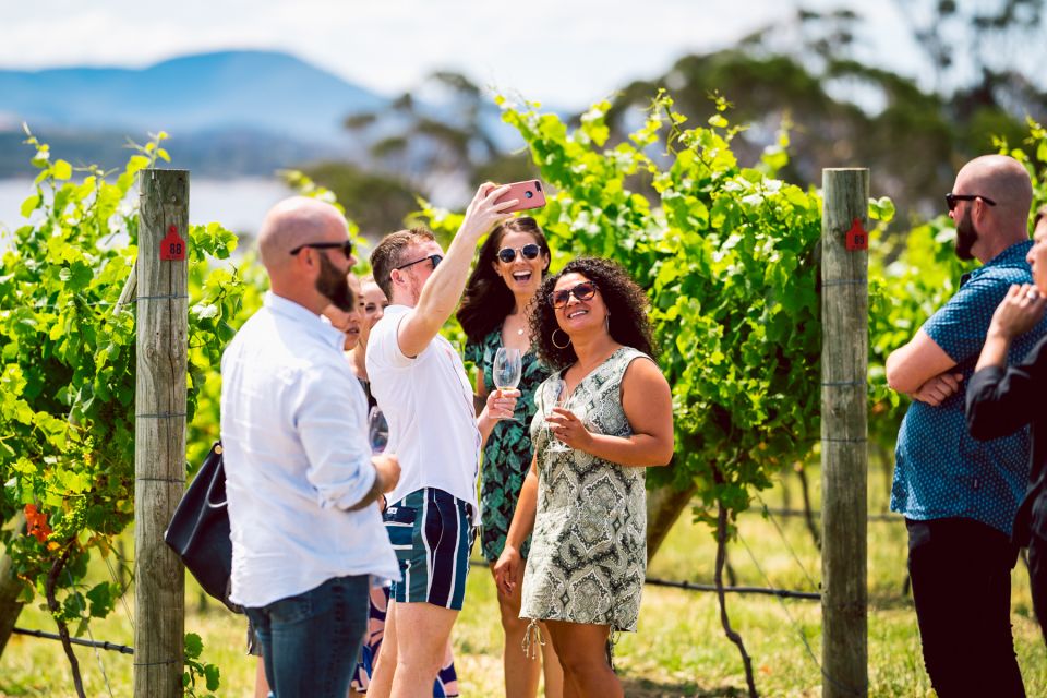 Hobart: Top Tasmanian Wineries Day Tour With Tastings - Experience Highlights