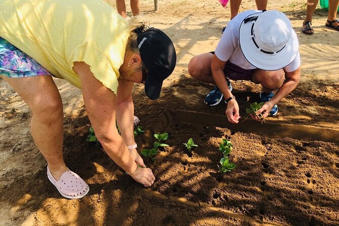 Hoi An Local Market and Vegetable Village Cooking Class - Cooking Class Experience