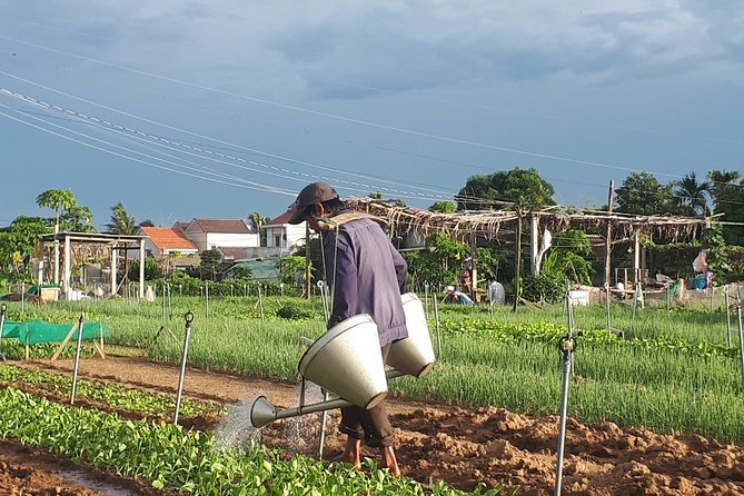 Hoi an Sunrise, Fish Market Tour and Taking Photos( Private Tour) - Fish Market Exploration