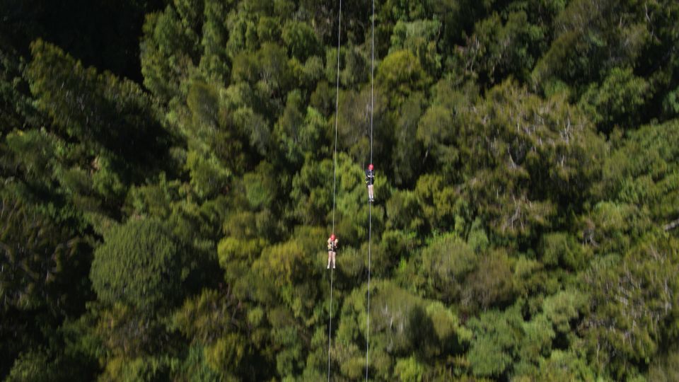 Hokitika: West Coast Tree Top Tower Zip Line and Walk - Experience Highlights