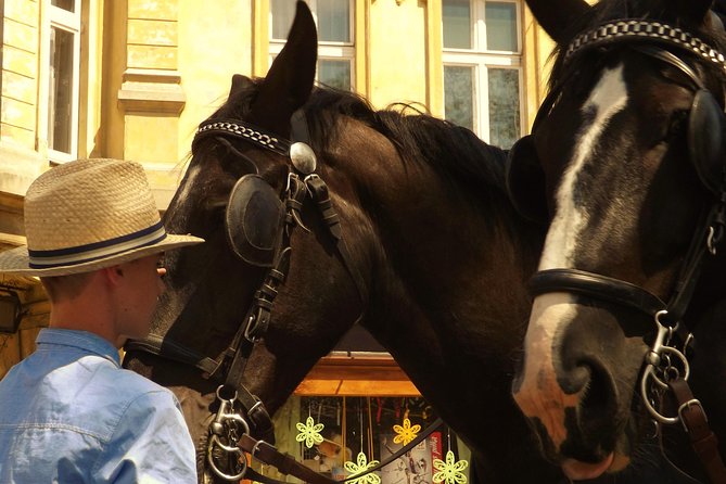 Horse and Carriage Tours With Polish Traditional Food Experience - Customer Experiences