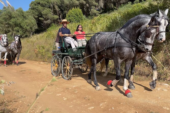 Horse Carriage Tour on the Mountain in Palmela - Tour Inclusions