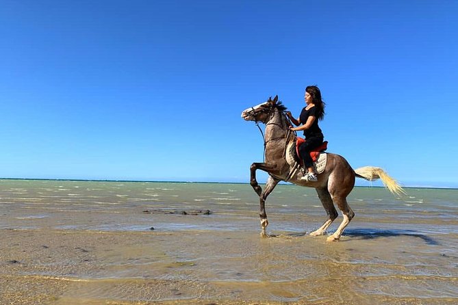 Horse Riding Tour 2 Hours Sea and Desert With Transfer - Hurghada - Tour Expectations