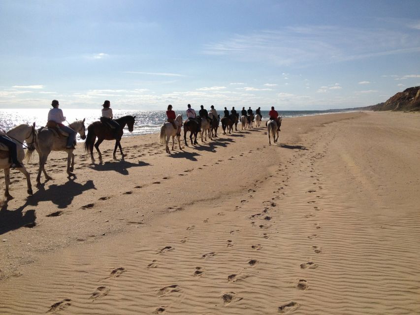 Horse-Riding Tour in Doñana National Park - Provider Information