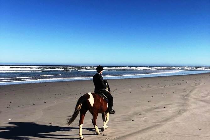 Horse Safari & Beach Ride Western Cape - Wildlife Encounters