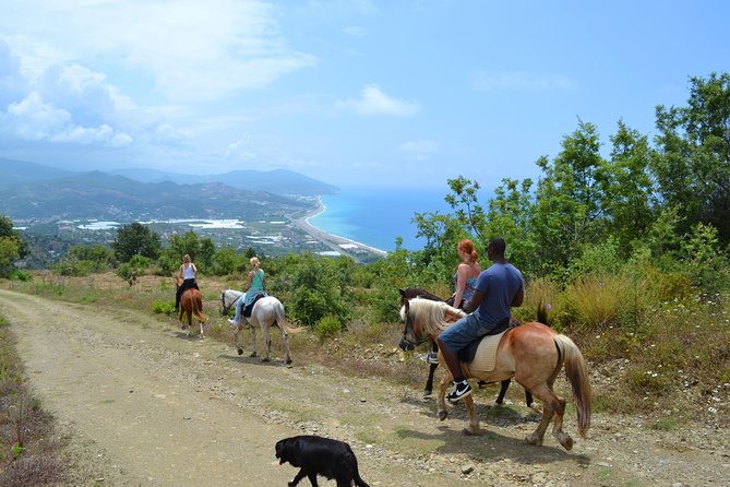 Horse Safari to Ancient Syedra - Highlights of the Horseback Tour