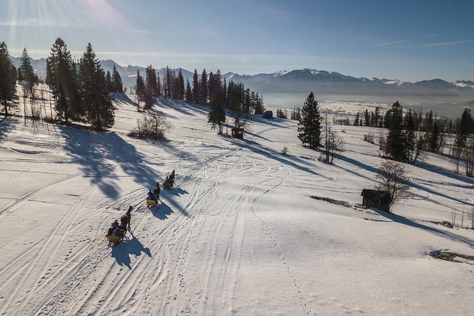 Horse Sleigh Ride in the Polish Countryside, Private Tour From Krakow - Itinerary Details