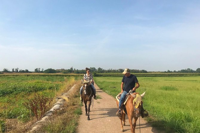 Horseback Riding and Wine Tasting - Inclusions Provided