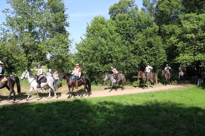 Horseback Riding Camino De Santiago in Abadín, Spain - What to Bring