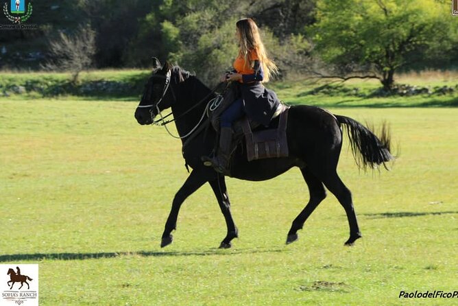 Horseback Riding in Nature - Timing and Reservations
