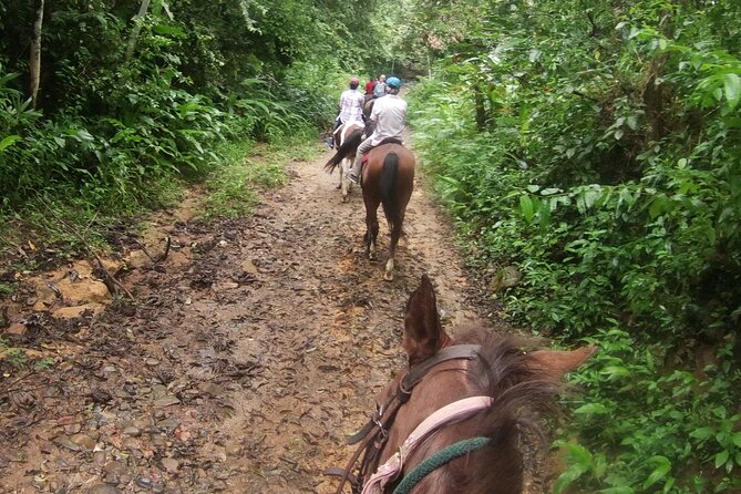 Horseback Riding in the Jungle Near Panama City - Pickup Information