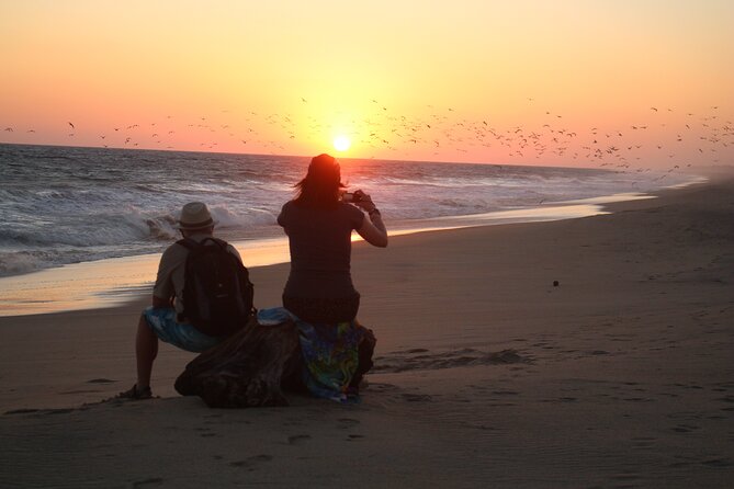 Huatulco Small-Group Nature Preservation Tour - Reviews