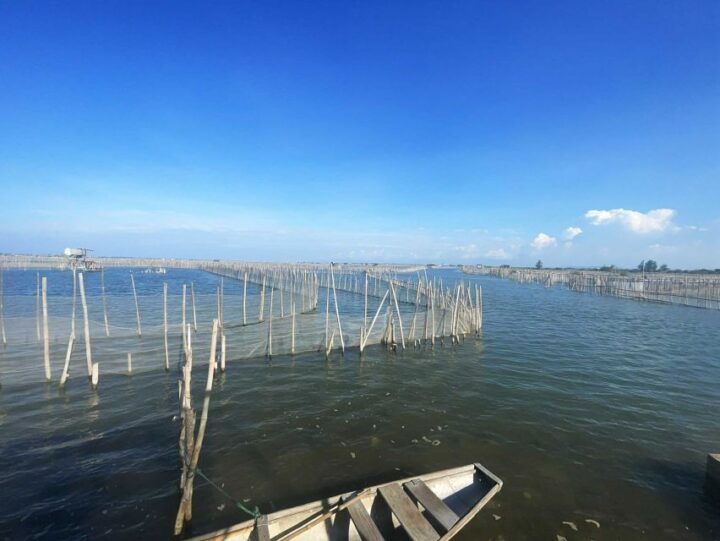 Hue: Tam Giang Lagoon Tour - Highlights of the Tour