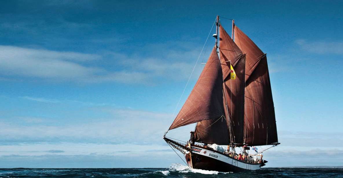 Húsavík: Whale Watching by Traditional Wooden Sailing Ship - Experience Highlights