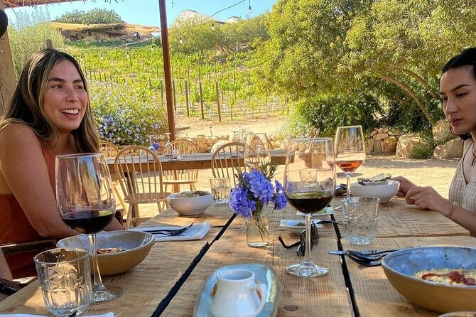 I Want More Wine, Valle De Guadalupe Tours - Customer Assistance