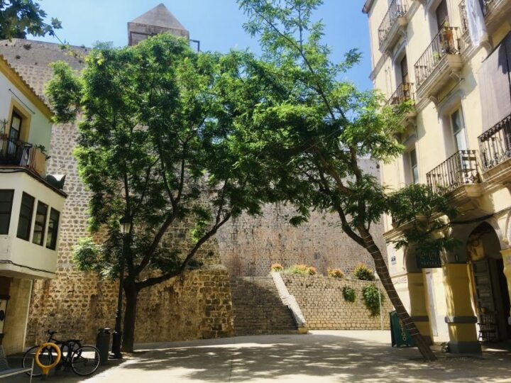 Ibiza: Old Town Guided Walking Tour - Tour Intensity and Weather Policy