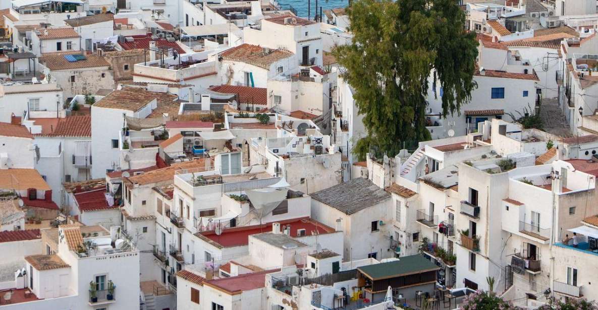 Ibiza Old Town Private Guided Walking Tour - Experience Highlights and Historical Background