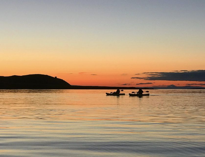 Iceland: Midnight Sun Kayaking Adventure - Kayaking Highlights and Wildlife Encounters