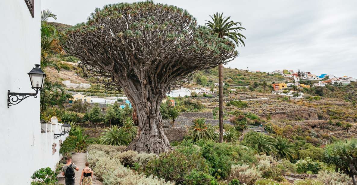 Icod De Los Vinos: Dragon Tree & Botanical Garden Ticket - Ticket Information and Provider