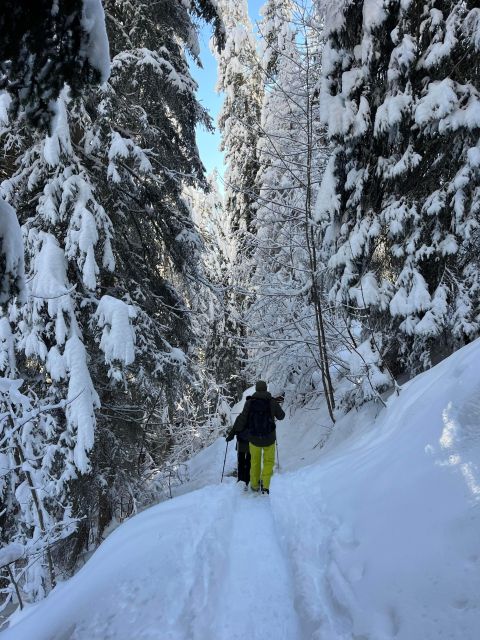 Interlaken: Snowshoe and Fondue Adventure in the Swiss Alps - Activity Itinerary