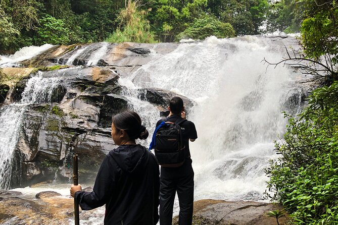 Inthanon National Park Tour With Soft Hike at Pha Dok Siew Trail - Pickup and Drop-off Information