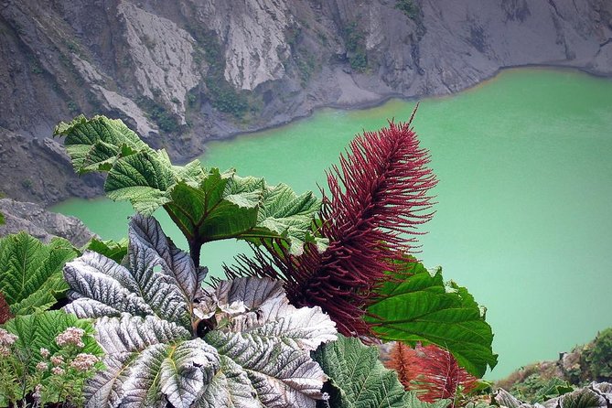 Irazu Volcano Orosi & Lankester Full Day With Lunch From San Jose - Inclusions and Logistics