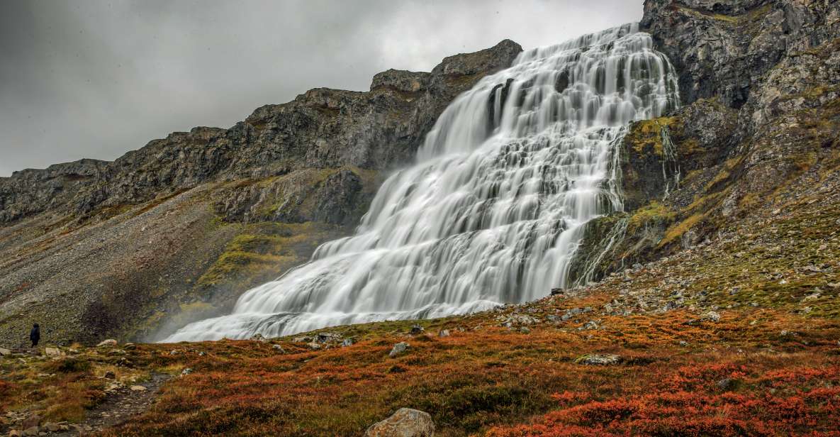 Isafjordur: Dynjandi Waterfall Tour and Icelandic Farm Visit - Highlights
