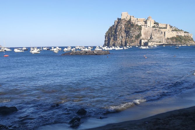 Ischia Private Full-Day Food and Wine Tasting Tour  - Isola Dischia - Itinerary Highlights