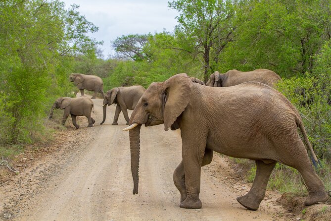 Isimangaliso Sunset Game Drive - Wildlife Sightings