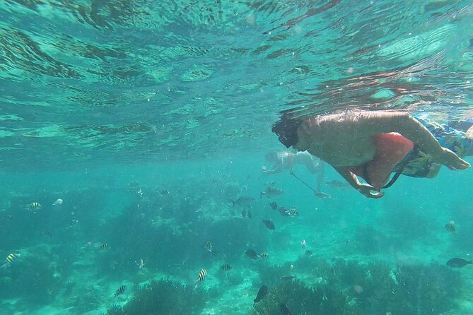 Isla Mujeres Snorkeling Adventure at the Underwater Museum - Reviews and Experiences