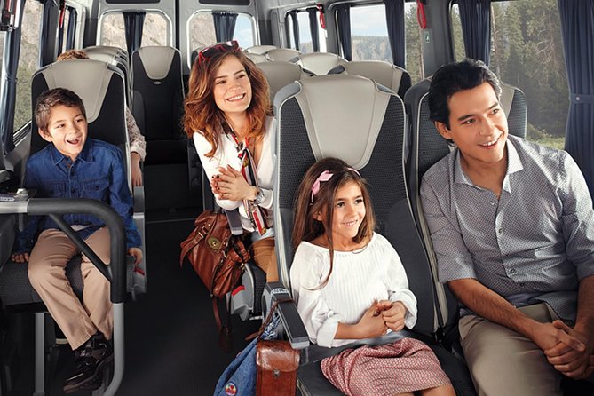 Istanbul Airport Transfer (1-13 Passengers) - 2 Ways - Accessibility Information