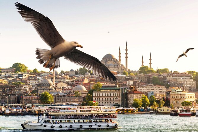 Istanbul Bosphorus Boat Tour and Golden Horn Cruise Day or Sunset - Booking Options