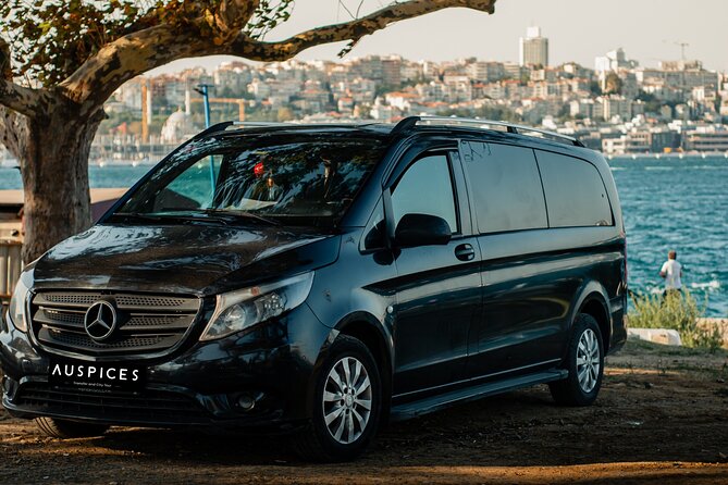 Istanbul Private Airport Transfers - Vehicle Options and Amenities