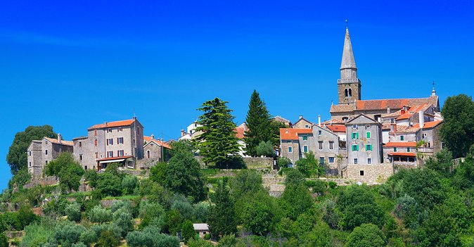 Istrian Hills Tour and Wine Tasting Plus Regional Hotel Pickup  - Rovinj - Wine Tasting Experience