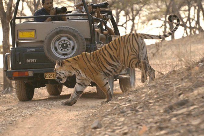 Jaipur to Ranthambore National Park Private Gypsy Safari Tour - Booking and Pricing Details