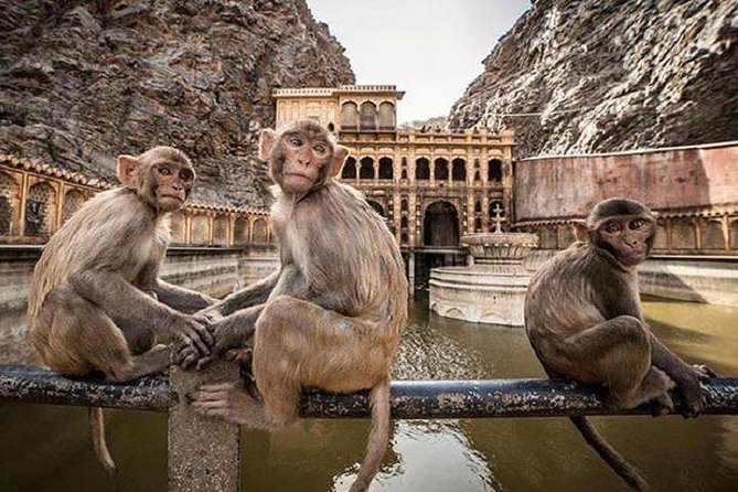 Jaipur Tour by Car & Guide - Private Full Day Sightseeing With Tickets - Inclusions and Exclusions