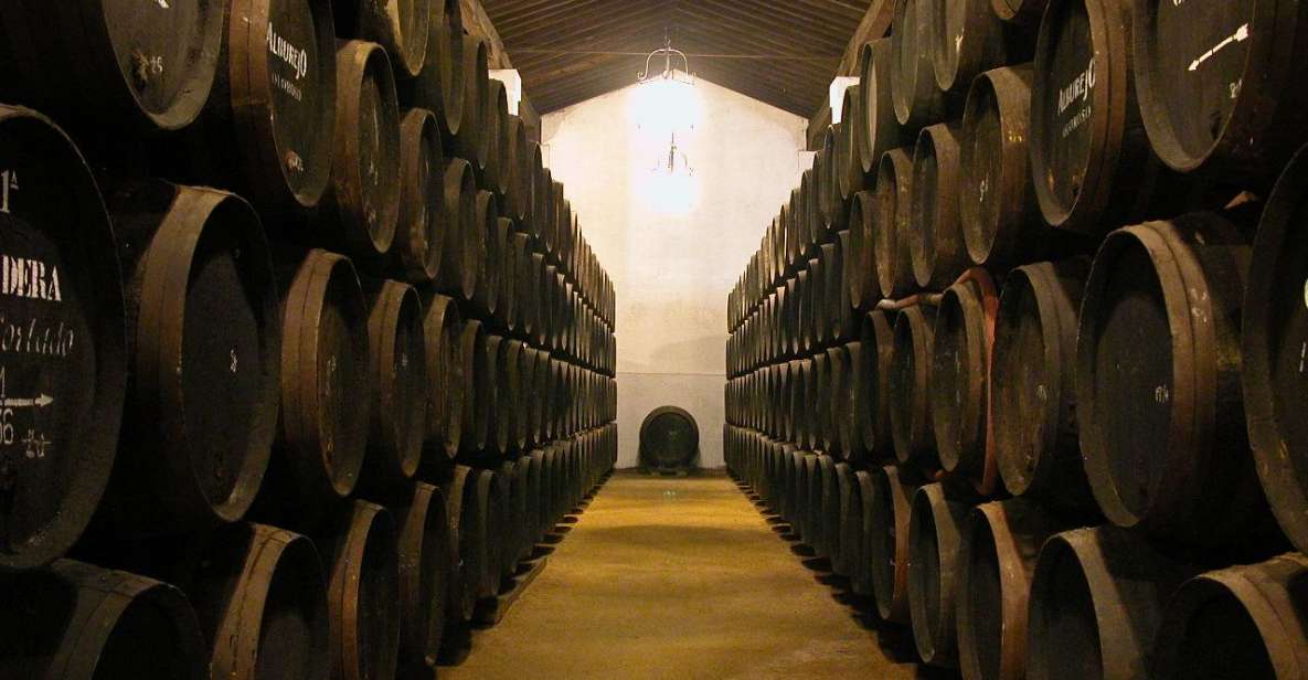 Jerez: Bodegas Álvaro Domecq Guided Tour With Wine Tasting - Experience Itinerary